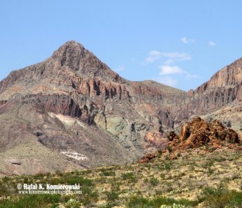 Big Bend NP...the land is more than desert or rock.....