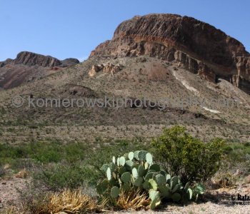 Big Bend NP...the land is more than desert or rock.....