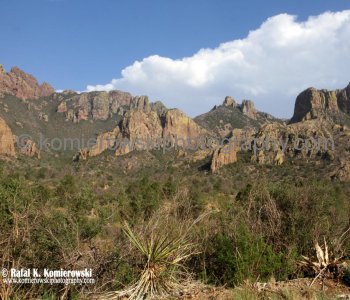 Big Bend NP...the land is more than desert or rock.....