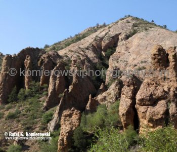 Big Bend NP...the land is more than desert or rock.....