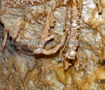 Caverns of Sonora, Texas