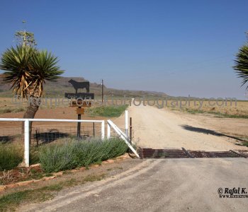 State Highway No. 118 passes through or along several state and federal parks and other ... The road is in the Chihuahuan Desert and passes mostly through scrub land...