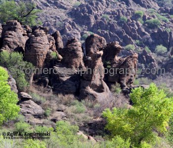 State Highway No. 118 passes through or along several state and federal parks and other ... The road is in the Chihuahuan Desert and passes mostly through scrub land...