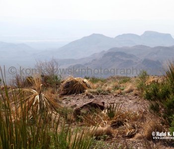Big Bend National Park, Texas
