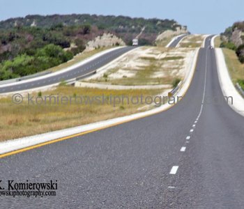 Wildflowers of Texas (I-10 Eastbound- on the way to San Antonio)
