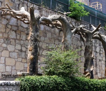 San Antonio River Walk, Texas, USA