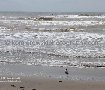 Corpus Christi has long been known to be a mecca for windsurfers. White sandy beaches and shallow waters. Expect swimming into the cloud of murky water!!! Mustang Island,