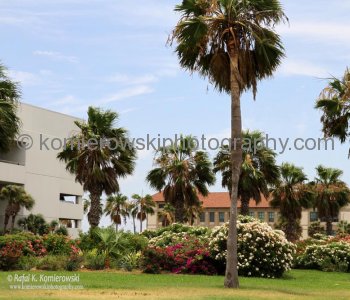 Corpus Christi, Texas,