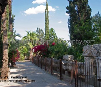 Capernaum- gardens