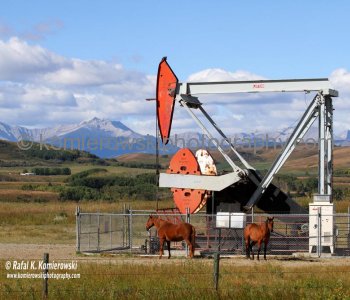 Longview, Alberta