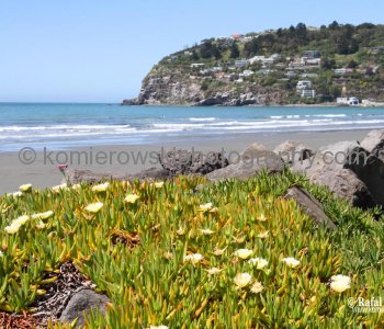 Day 29/ Day 7,  TUESDAY,  October 30 ,  2012,    Beach at Sumner which is a coastal seaside suburb of Christchurch, New Zealand
