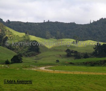 DAY 32/ Day 10,  FRIDAY,  November 2 ,  2012,     ROTORUA south of TAURANGA , New Zealand,