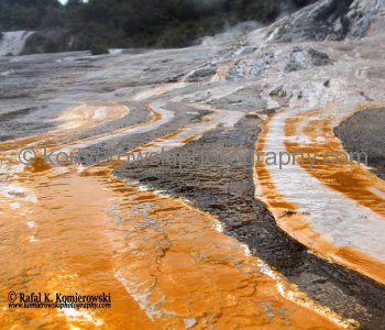 DAY 32/ Day 10,  FRIDAY,  November 2 ,  2012,     Hidden Valley near ROTORUA south of TAURANGA , New Zealand,