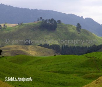 DAY 32/ Day 10,  FRIDAY,  November 2 ,  2012,     Green scenery near ROTORUA south of TAURANGA , New Zealand,