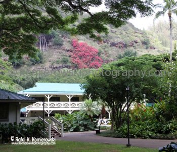 Waimea Valley, 59-864 Kamehameha Highway, Haleiwa, Oahu, HI 96712