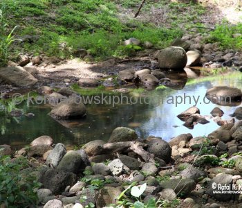 Waimea Valley, a waterfall park offering native Hawaiian history and culture.