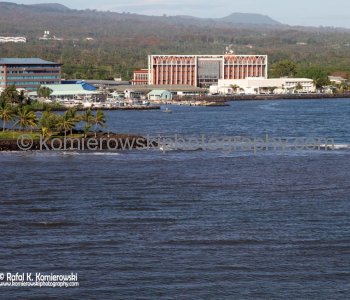 Apia is the capital and the largest city of Samoa
