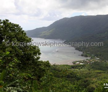 Rainforest...Upolu island, Samoa