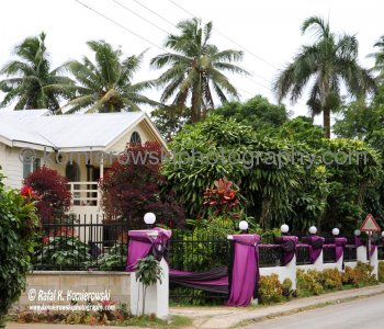 Black and purple adorn Tongan homes across Royal Palace as mourning nation honours late King George Tupou V