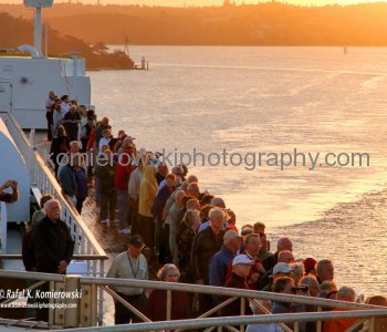 Almost everyone went out to watch spectacular Sydney Harbour....MS Oosterdam arrival to Sydney, 24 October 2012