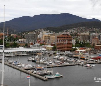 Tasmania attracted free settlers as well