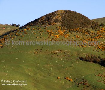 Inlet to Port Chalmers (Dunedin),  spectacular scenery observed from the deck of MS Oosterdam