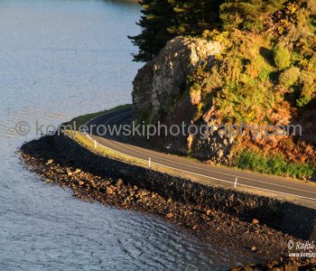 Inlet to Port Chalmers (Dunedin),  spectacular scenery observed from the deck of MS Oosterdam