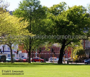 Dunedin  - early spring color