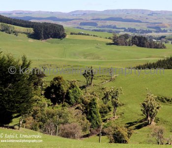 Countryside near Palmerson, north of Dunedin