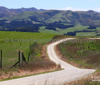 Exploring countryside in spring colors near Palmerson, north of Dunedin