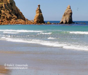 Karitane Beach, exploring countryside in spring colors east of Palmerson, north of Dunedin