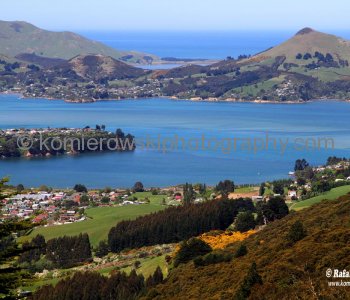Countryside between Port Chalmers and Dunedin