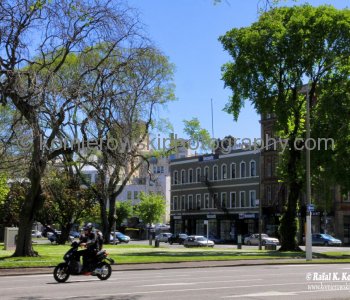 Dunedin  - early spring colors