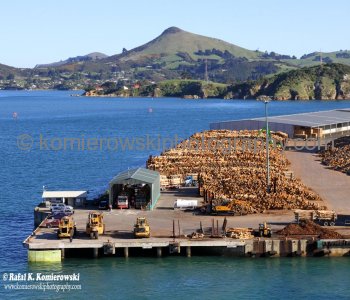 Forestry companies selling logs to international markets China, Korea, Taiwan and India. Port Chalmers, NZ