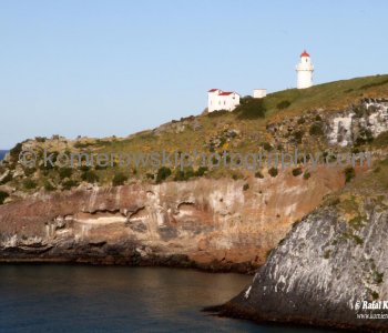 Wonderful scenery can be viewed along the way as you travel through the iconic landscapes of  Otago, Port Chalmers, Dunedin, New Zealand.
