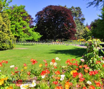 Christchurch Botanic Gardens, New Zealand