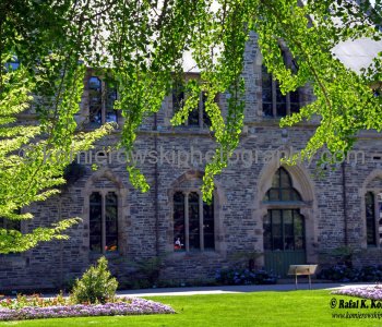 Christchurch Botanic Gardens, New Zealand