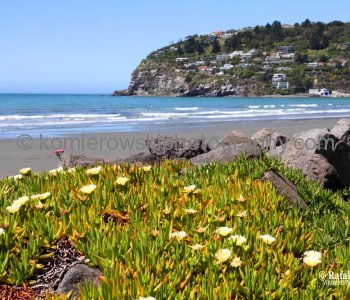 Sumner, Christchurch, New Zealand