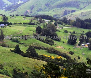 ... spectacular, dramatic and  dreamlike landscapes surrounding Akaroa and the Banks Peninsula coastline...