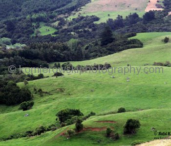 ... spectacular, dramatic and  dreamlike landscapes surrounding Akaroa and the Banks Peninsula coastline...