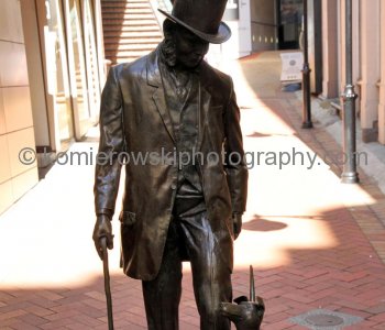 ....exploring on foot...Wellington is very compact, perched on the edge of a stunning natural harbor.....