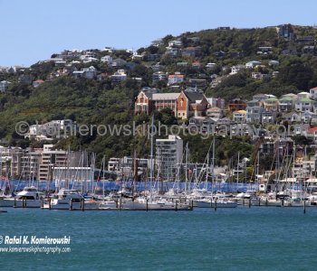 ....exploring on foot...Wellington is very compact, perched on the edge of a stunning natural harbor.....