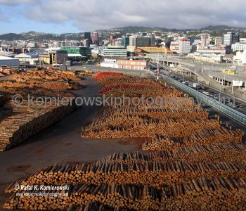 ....early morning...view of Wellington from the 10th deck-MS Oosterdam...