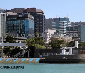 ....exploring on foot...Wellington is very compact, perched on the edge of a stunning natural harbor.....