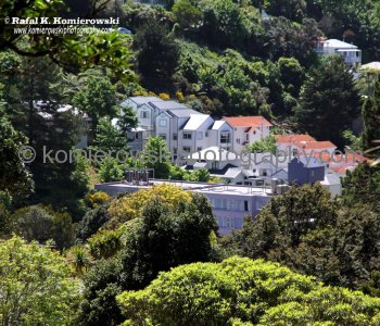 View from spectacular Botanic Garden, Mt Victoria, Wellington, New Zealand