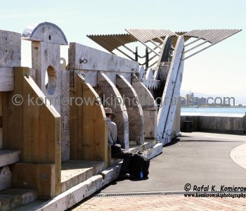 City to Sea Bridge bridge is constructed of timber planking and is adorned with non-traditional wooden sculptures carved by prominent Māori artist Paratene Matchitt