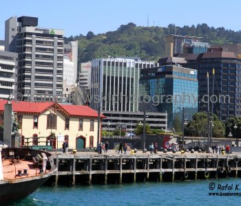 Wellington is a mix of modern buildings interspersed by older historic buildings...seen from Wellington Waterfront