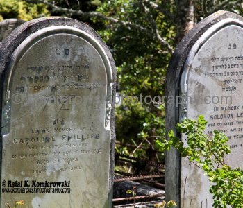 Bolton Street Memorial Park, formerly known as Bolton Street Cemetery, is the oldest cemetery in Wellington, New Zealand