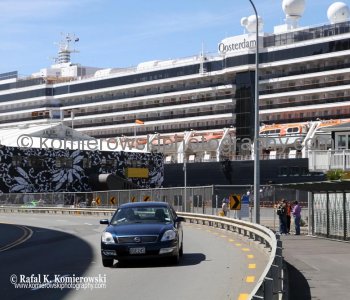 MS Oosterdam, Wellington, New Zealand