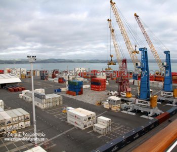 Napier has firmly established itself as the leading port for central New Zealand...